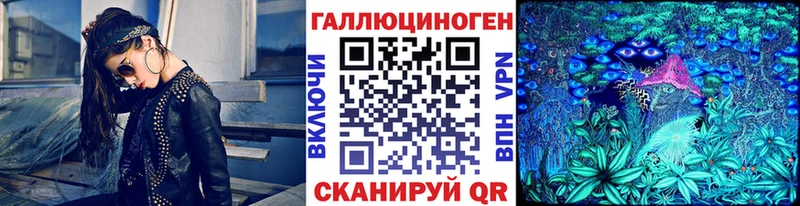 Псилоцибиновые грибы GOLDEN TEACHER наркошоп Лукоянов